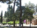 p_Rome2006 154