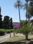 p_Rome2006 155