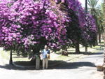 p_Rome2006 157