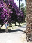 p_Rome2006 158