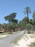 p_Rome2006 162