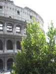 p_Rome2006 181
