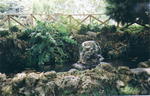 2001eia orvieto papal fortress garden