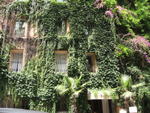 p_Rome2006 290