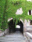 Via S. Pietro in Vincoli (looking up)