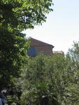 Basilica S.Domenico through the trees