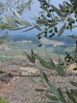 Tuscany, 2007