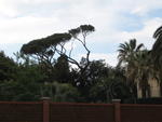 rome2007_IMG_0849
