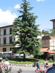 Sienese Street Scene 2