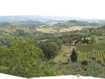 S.Gimignano Countryside 1