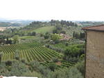 S.Gimignano Countryside 2