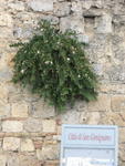 S.Gimignano Wall: detail near Porta S. Giovanni