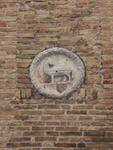 ex-Chiesa S.Francesco: facade detail