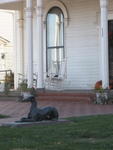 Earhart Birthplace Greyhound II