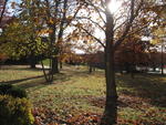 Campus of Benedectine College II