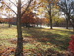 Campus of Benedectine College I