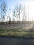 Northwest Missouri Landscape II