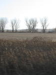 Northwest Missouri Landscape XI