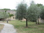 Park inside the Rocca