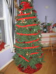 xmas2007_IMG_2476