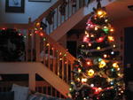 Christmas Trees 2007