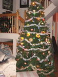 xmas2007_IMG_2488