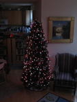 xmas2007_IMG_2509a