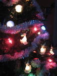 xmas2007_IMG_2523