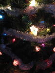 xmas2007_IMG_2529