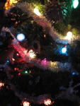 xmas2007_IMG_2530