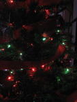 xmas2007_IMG_2532