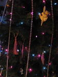 xmas2007_IMG_2540
