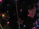 xmas2007_IMG_2542