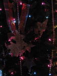 xmas2007_IMG_2544