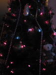 xmas2007_IMG_2546