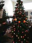 xmas2002_trees1-s