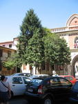 tuscany2007_IMG_1573