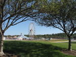 Ferris Wheel with Trees I