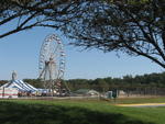 Ferris Wheel with Trees II