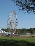 Ferris Wheel with Trees III