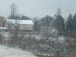 Barn with Trees