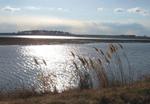 Blackwater National Wildlife Refuge, MD 16 Feb 2009