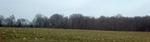 Trees on Horizon II (Maryland Eastern Shore)
