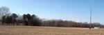 Trees on Horizon III (Maryland Eastern Shore)