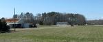 Trees on Horizon VIII  (Maryland Eastern Shore)