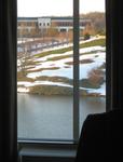 Morning Window View II