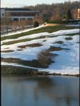 Morning Window View III, with duck pond