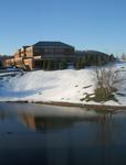Morning Window View IV, with duck pond