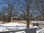 North Pavilion with Tree