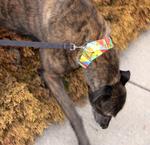 grant_IMG_3874